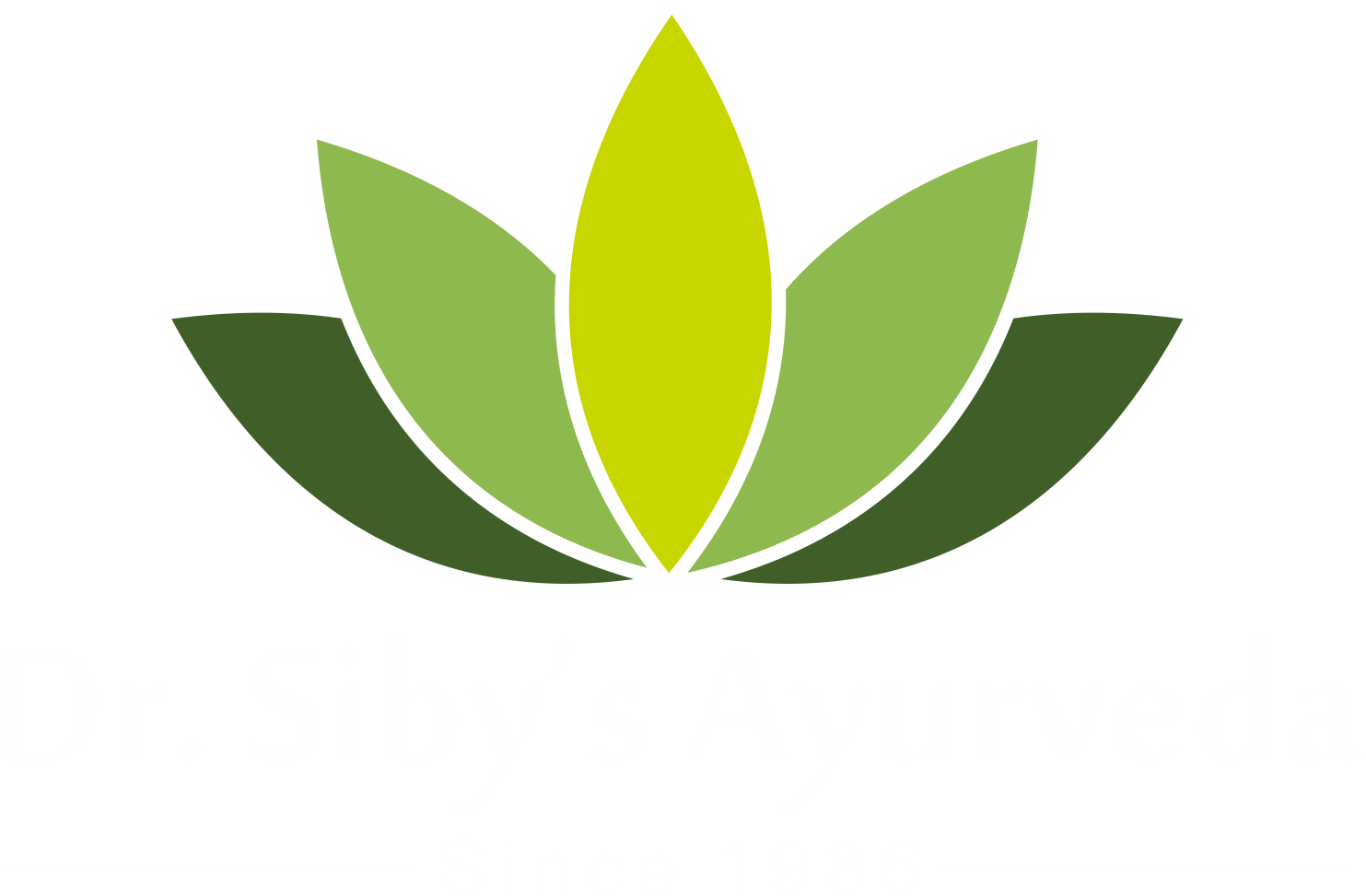 Dr Siby Ayurveda Kerala Treatments